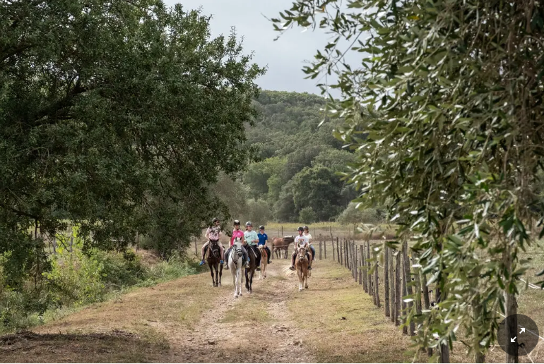 Наслаждаясь Мареммой, тихим уголком Италии