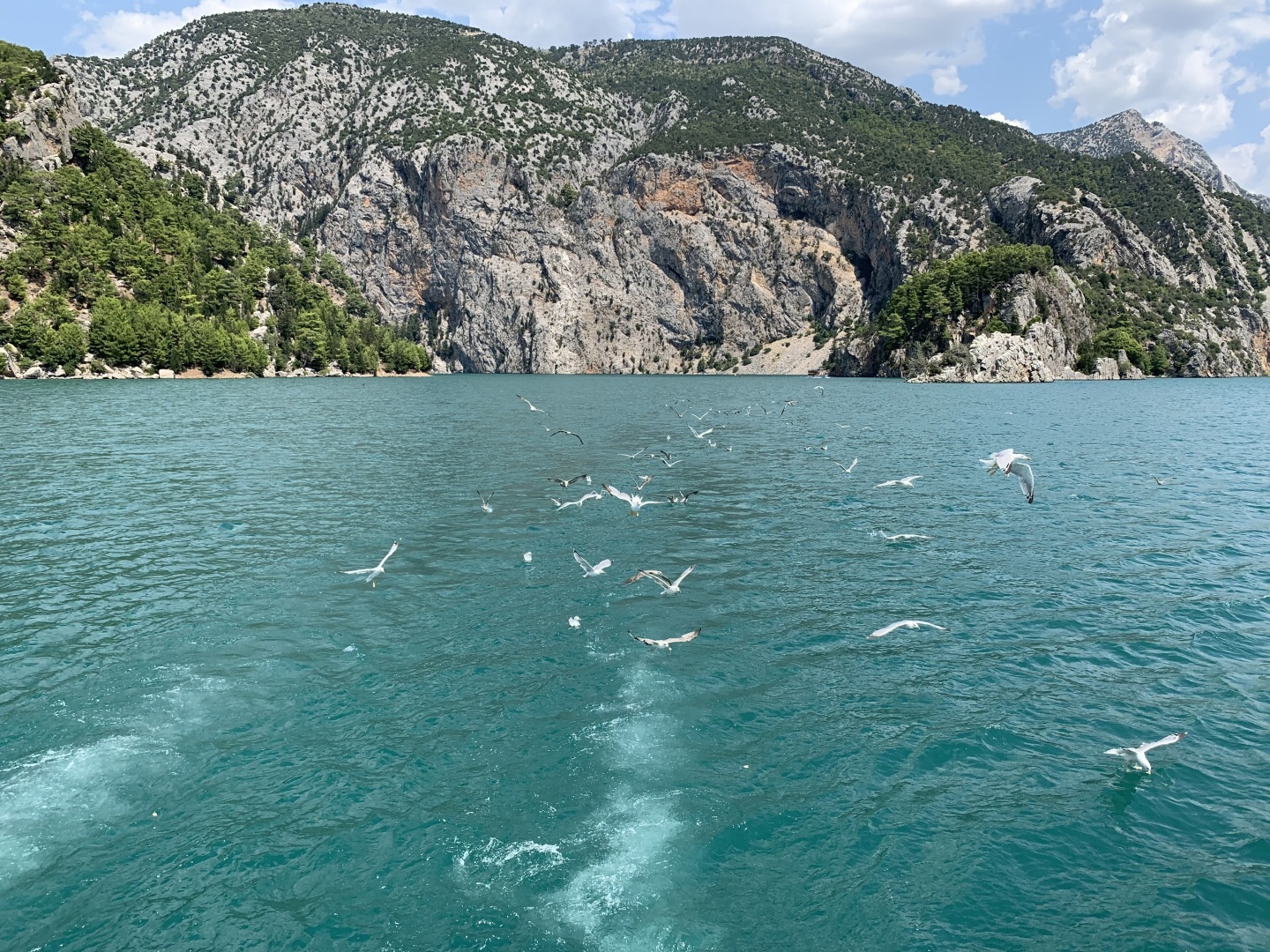 Отдых в Турции «не все включено»! Кроме еды, есть на что посмотреть: пролив Босфор, загадочный Стамбул и бескрайнее море. Мое путешествие