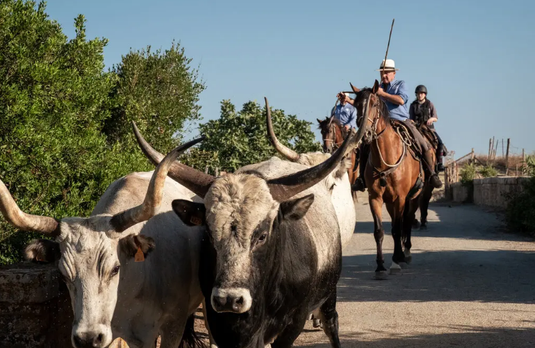 Наслаждаясь Мареммой, тихим уголком Италии