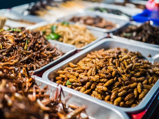 Прошлое, настоящее и будущее насекомых для потребления человеком