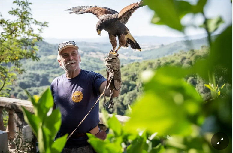 Наслаждаясь Мареммой, тихим уголком Италии