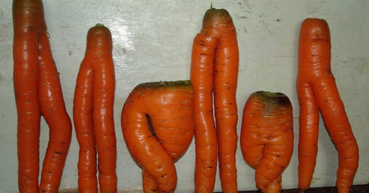 Мутации в овощах.