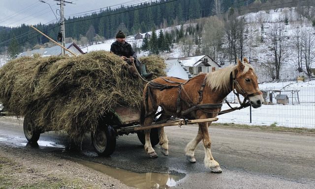 Румыния считается сейчас "холодным соседом Украины"