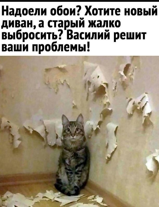 Круче мужа на час - Василий Петрович Когтедран?