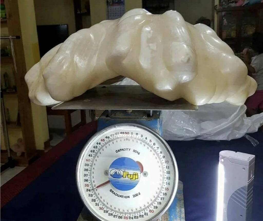 Самая большая в мире жемчужина весом 34 килограмма, пролежала под кроватью 10 лет