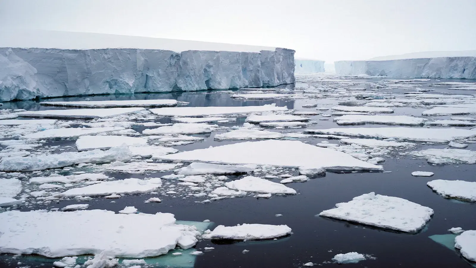 Элизабет Раш в своем эпическом путешествии к «леднику судного дня» Земли