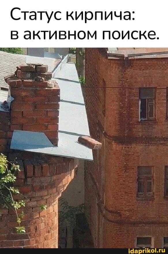 Настигнет сей поиск кого-то активно?