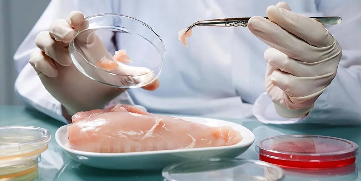 Куриное мясо из Польши травит Евросоюз.