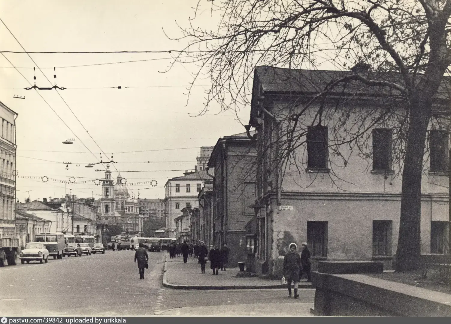 Мои истории... «Жертва» грамотности.