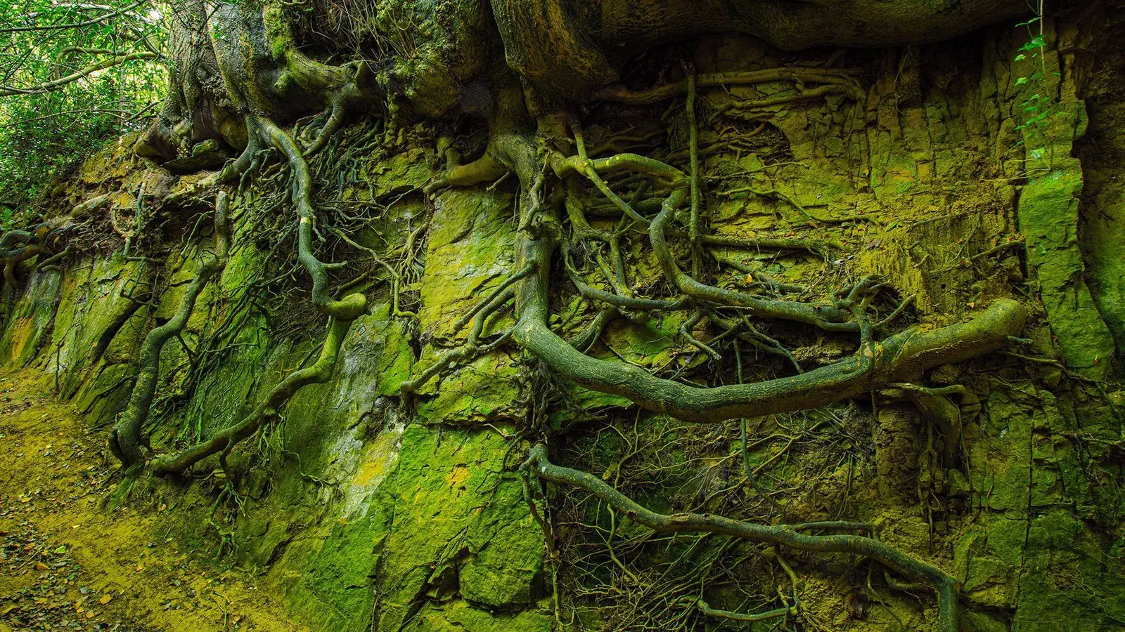 Таинственные затонувшие дороги Англии