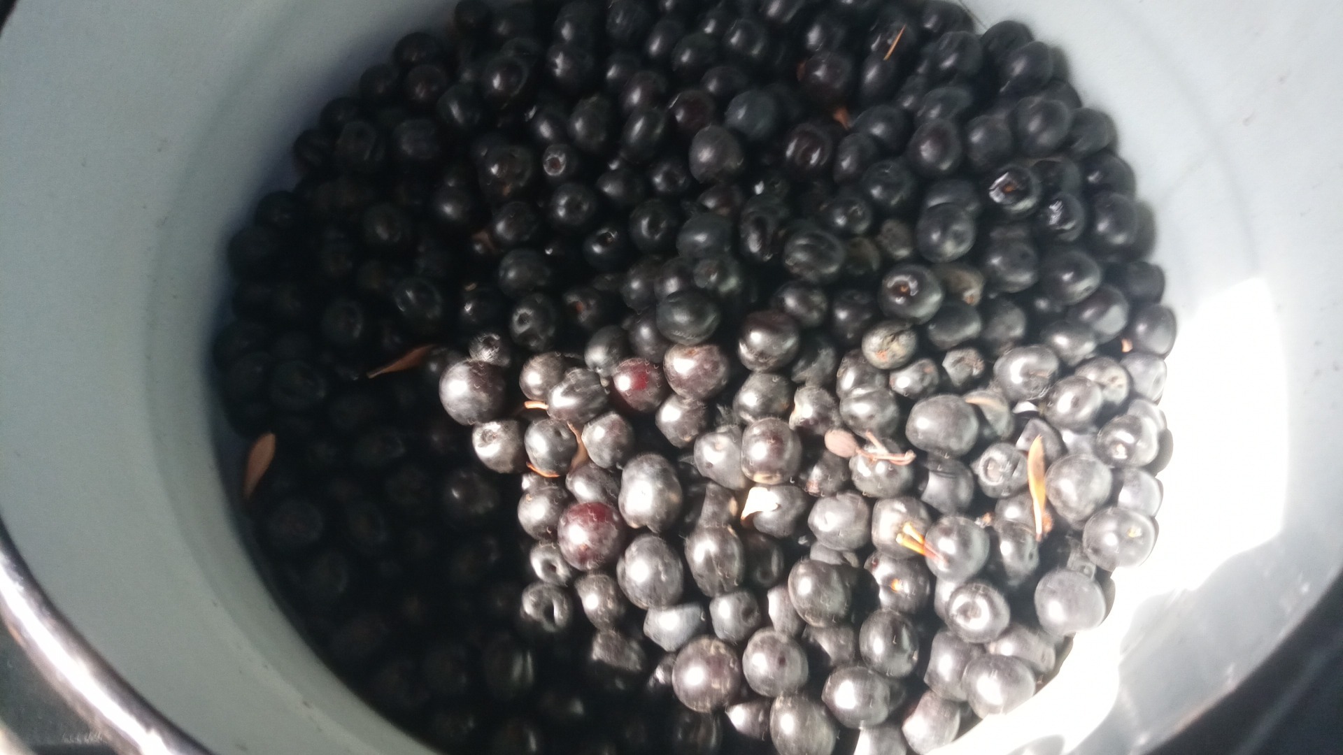 Черня вишня? Ностальгия...