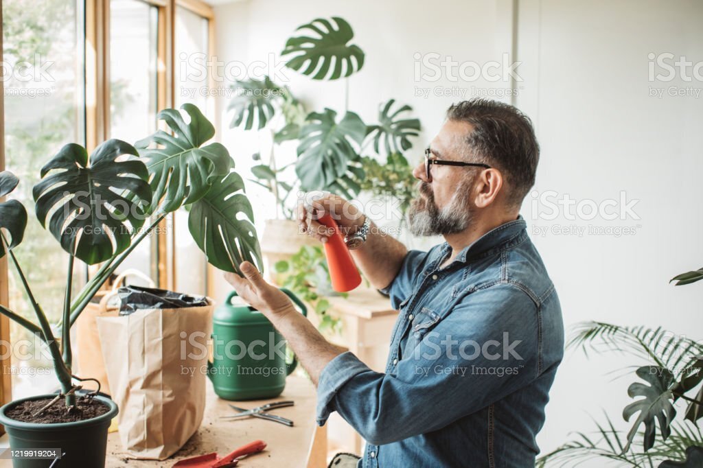 "Цветы: их польза и влияние на наше благополучие"