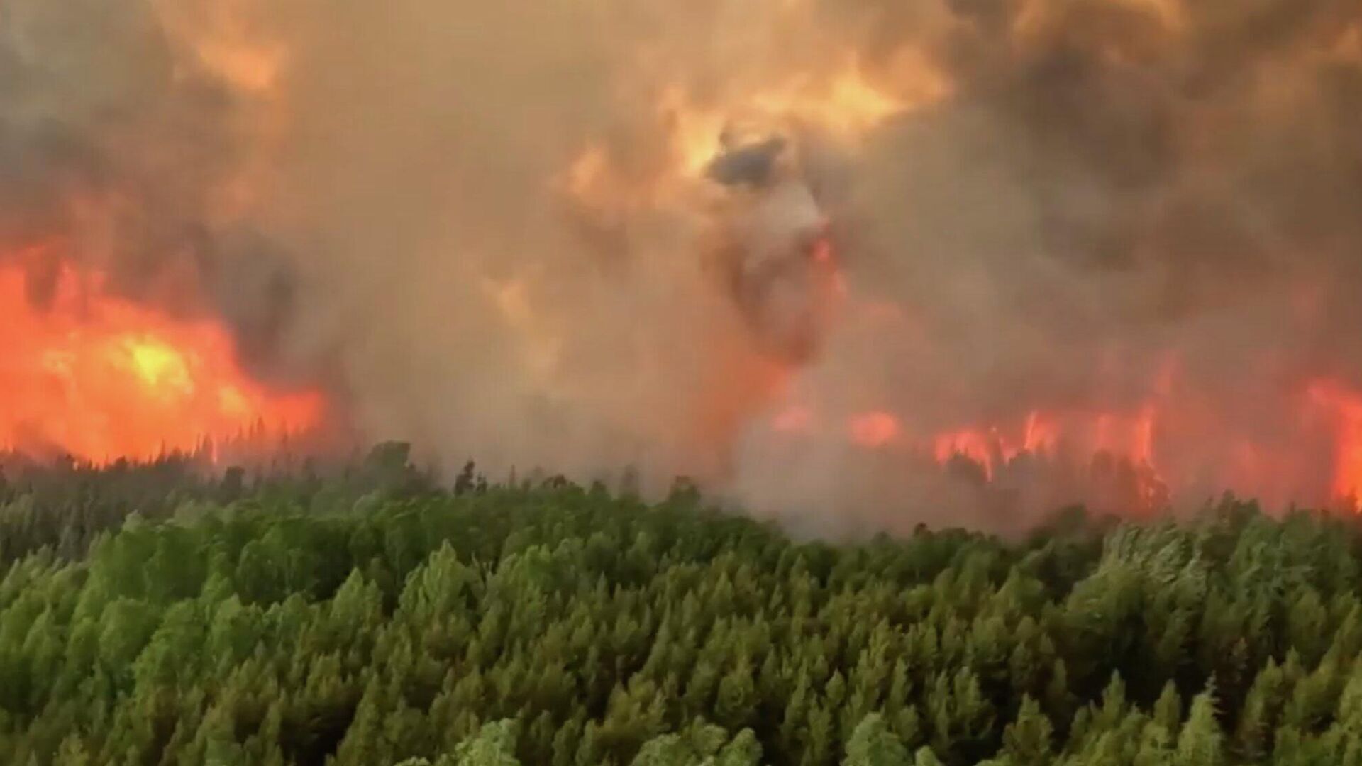 Канадские пожарные борются за то, чтобы остановить лесной пожар в городе Йеллоунайф