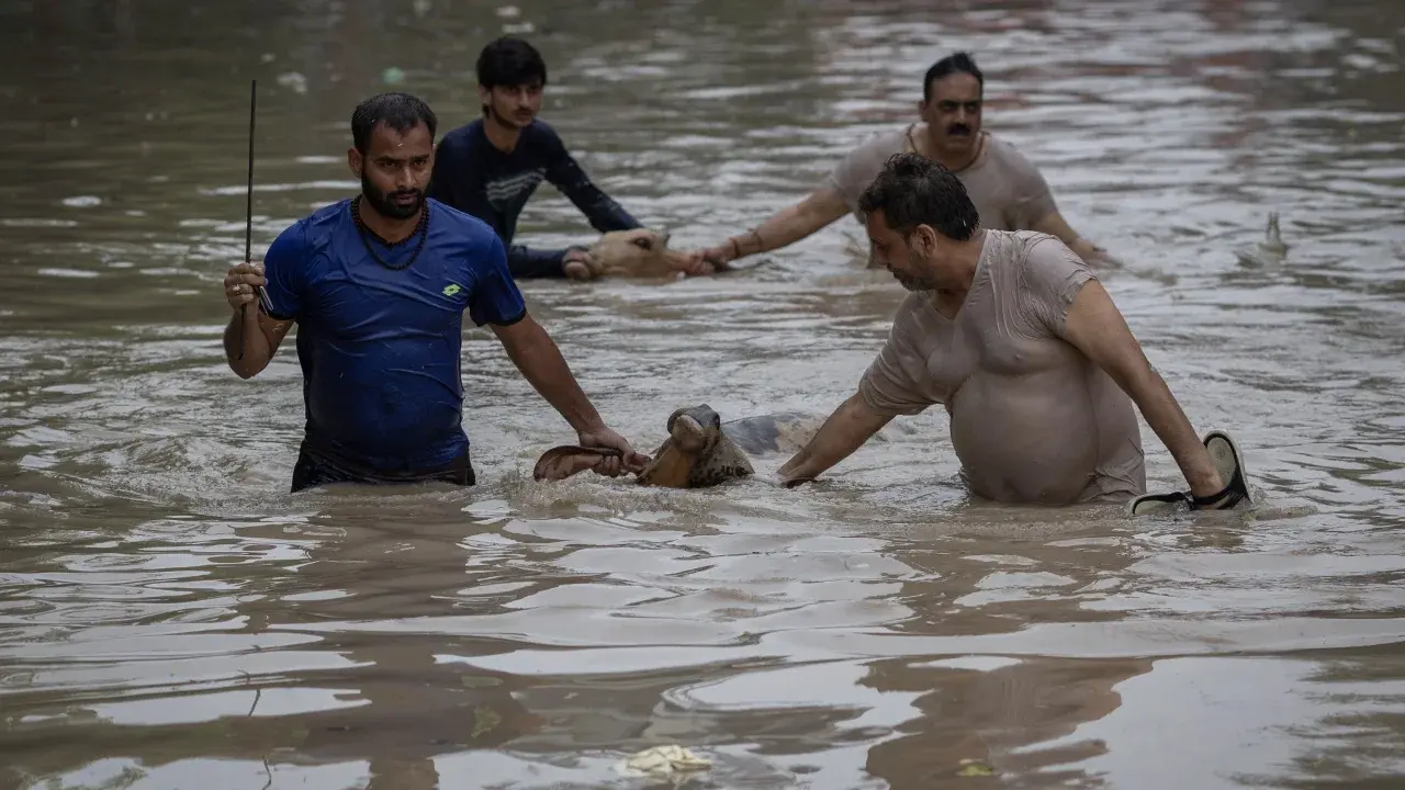 Река Ямуна побила рекорд высоты из-за наводнения на севере Индии
