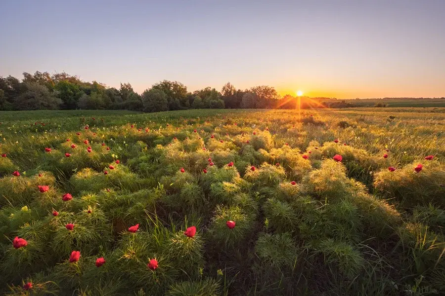 Возраст .времена года и иммунитет