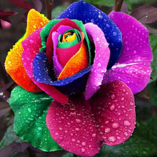 Евгения, г. Подольск