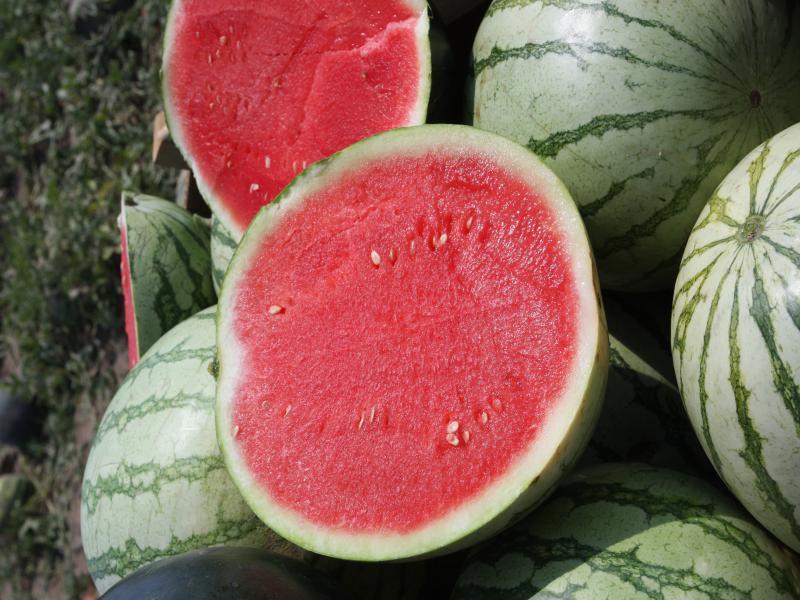 Почему допускают такое выращивание съедобную культуру на гормонах?ВЫ ЗНАЛИ.ПОЧЕМУ СЕМЯН НЕТ?