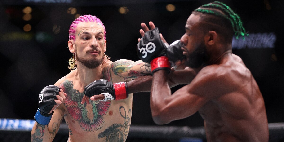 Встреча Шона О’Мэлли и Алджамэйна Стерлинга. UFC