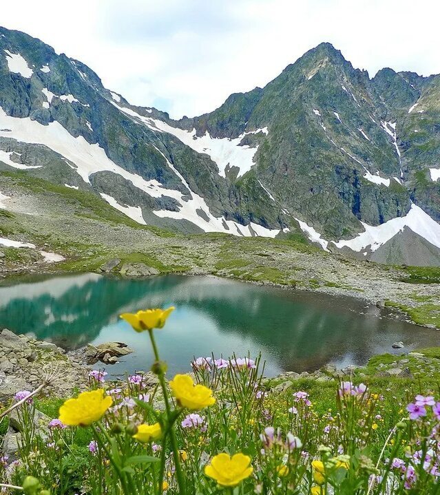 Кавказский заповедник