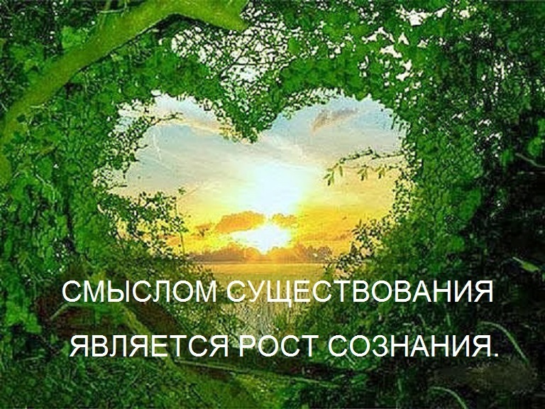 Главная цель