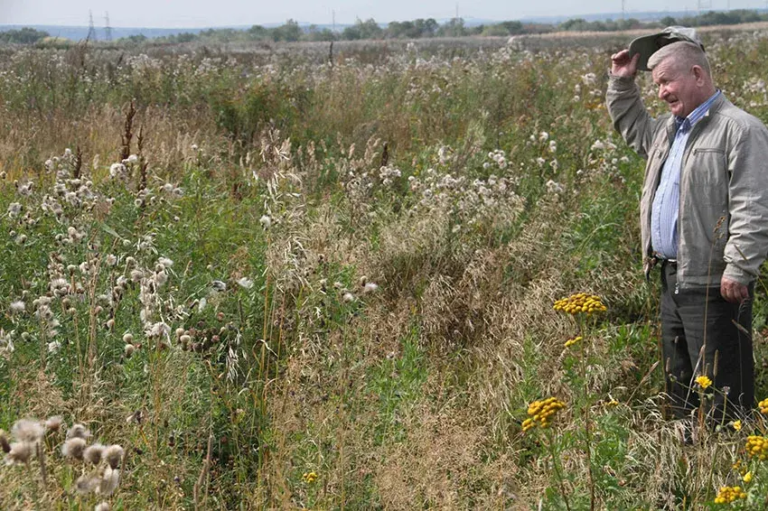 Колхозное поле быльем заросло.