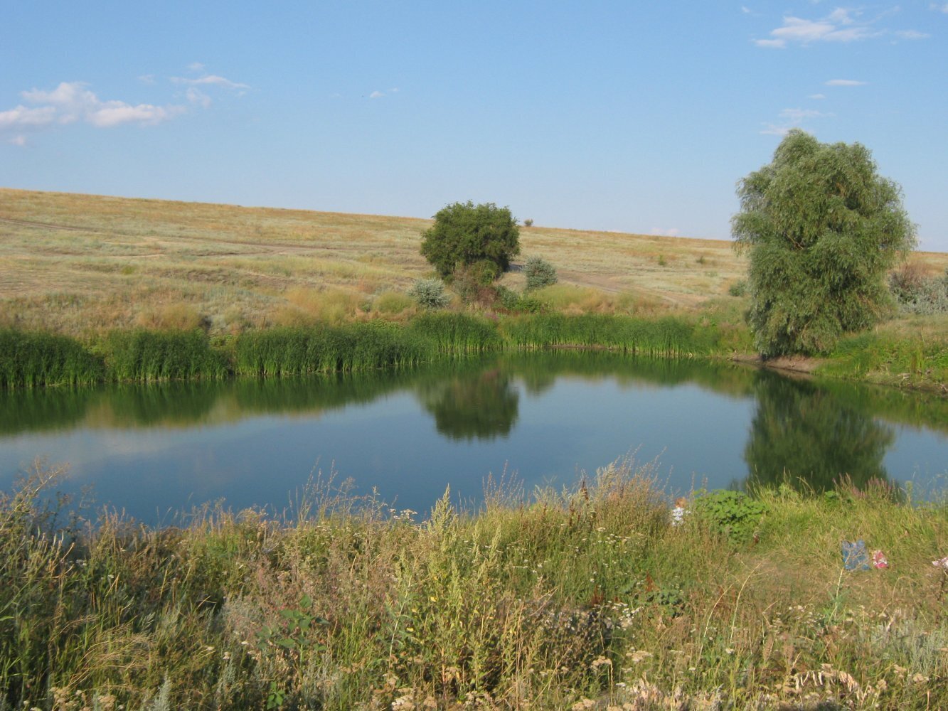 Помощь жене в подготовке к зиме: консервирование щуки в томатном соусе в автоклаве. А Вы свойские пробовали консервы из щуки ?