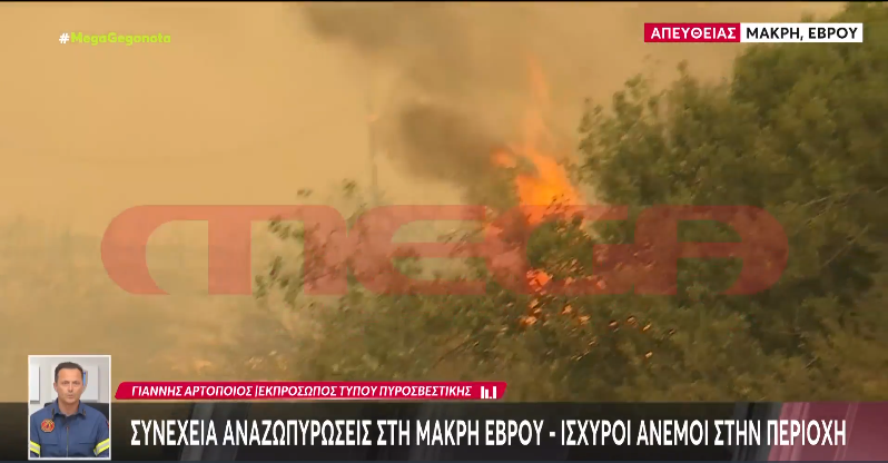 Пожары: шесть стран направляют помощь в Грецию для борьбы с пожарами