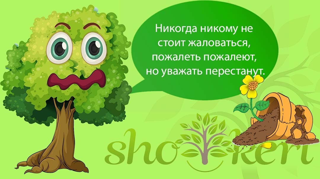 🌱6 шагов, чтобы избежать крысиных бегов🌱