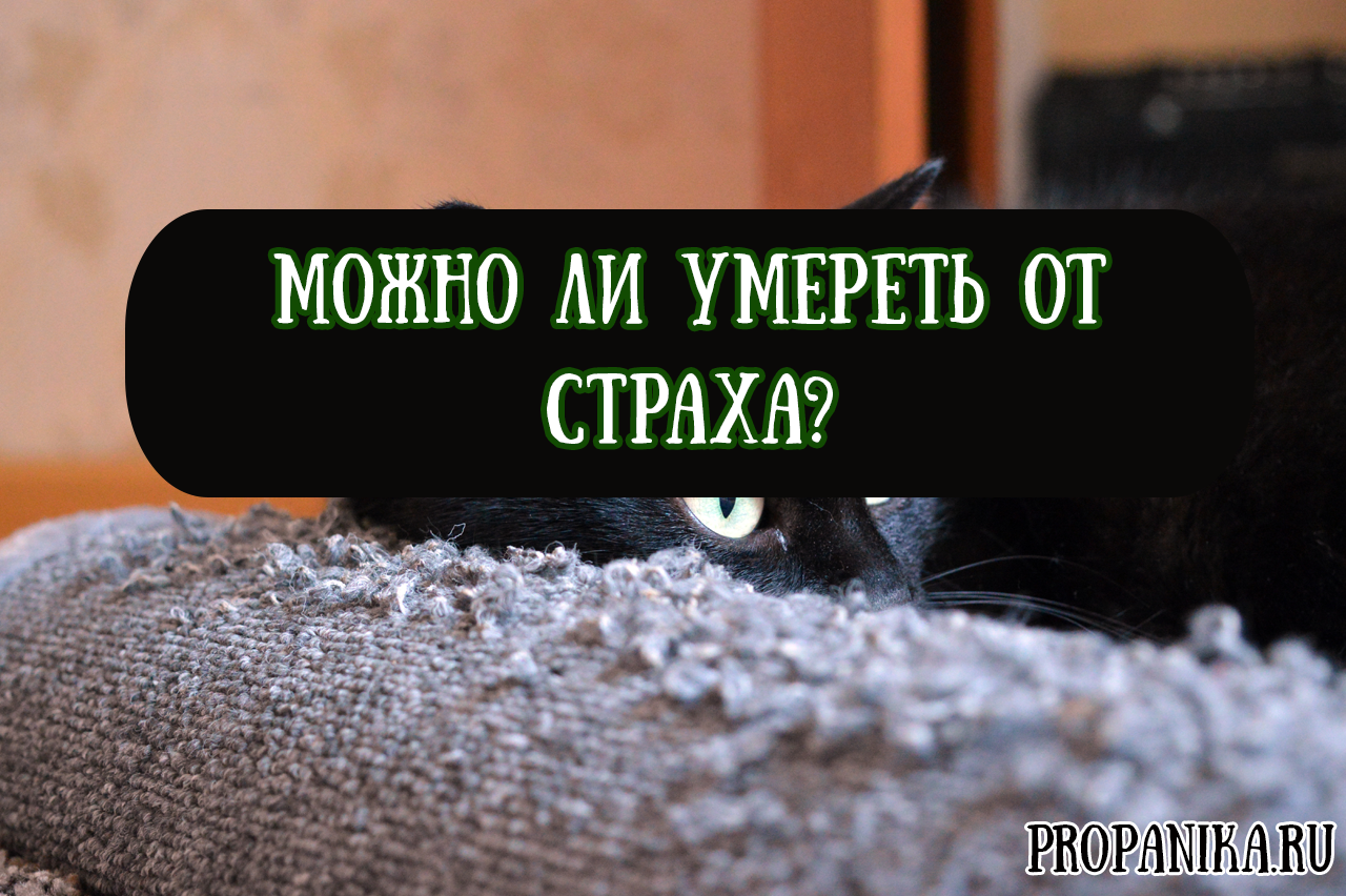 Можно ли умереть от страха?