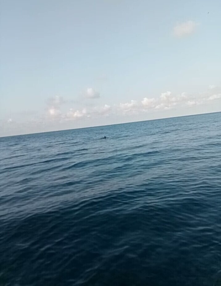 Незабываемая поездка на море в Абрау-Дюрсо: отдых с семьей и незабываемые впечатления