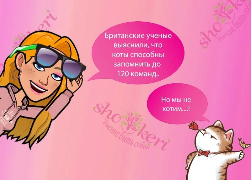 🌱 30 советов, как поднять себе настроение в любой ситуации (с примерами)🌱