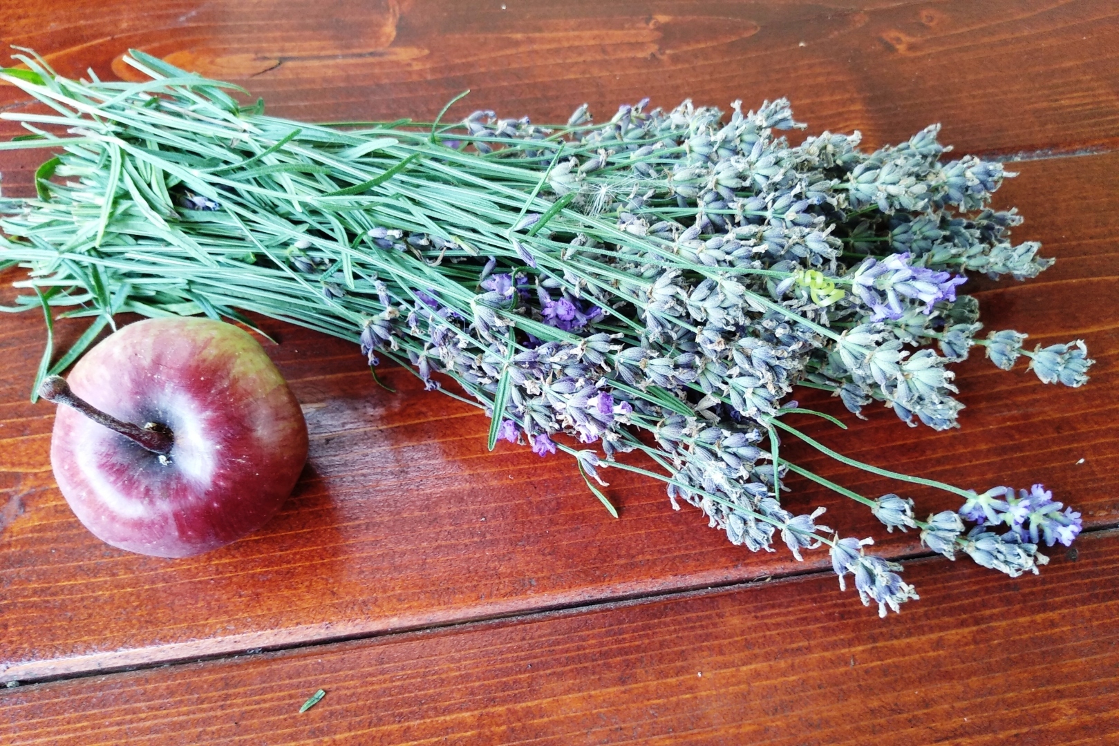 Анапа, как Учкудук, изнывает от августовского зноя