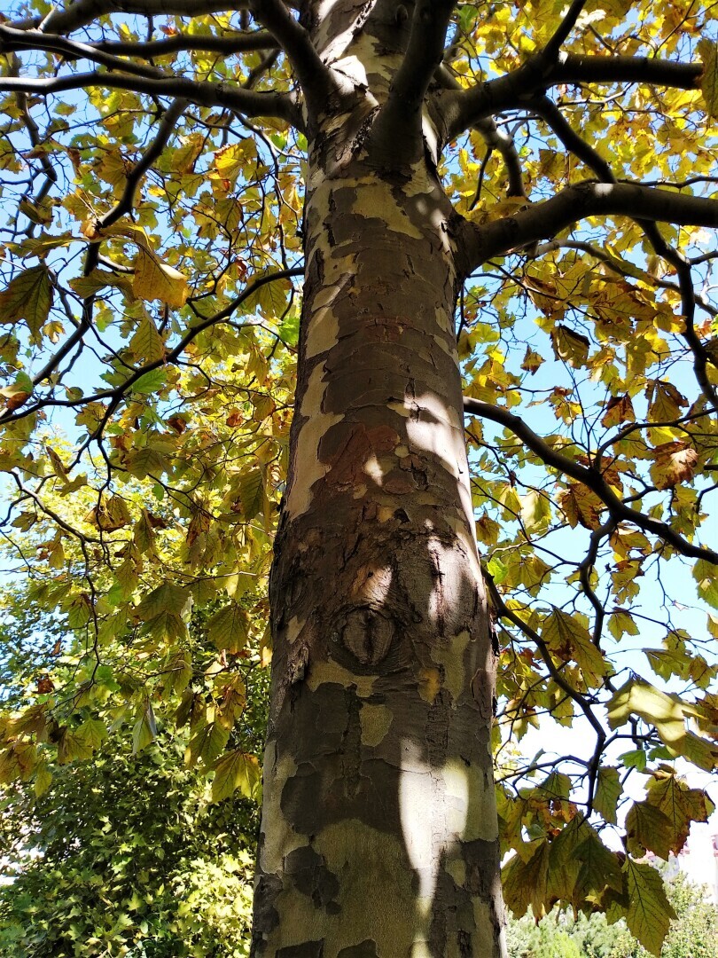 Анапа, как Учкудук, изнывает от августовского зноя