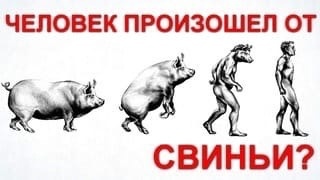 Нечистоплотные соседи! Почему люди гадят там, где живут? Рассказ про моих новых соседей
