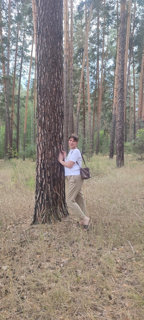 Бузулукский бор – 2023: мой отдых в сосновом бору. Национальный парк. Достопримечательности