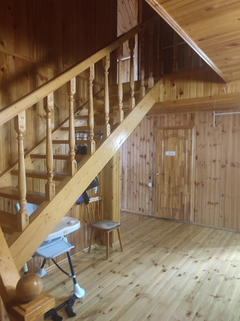 Бузулукский бор – 2023: мой отдых в сосновом бору. Национальный парк. Достопримечательности