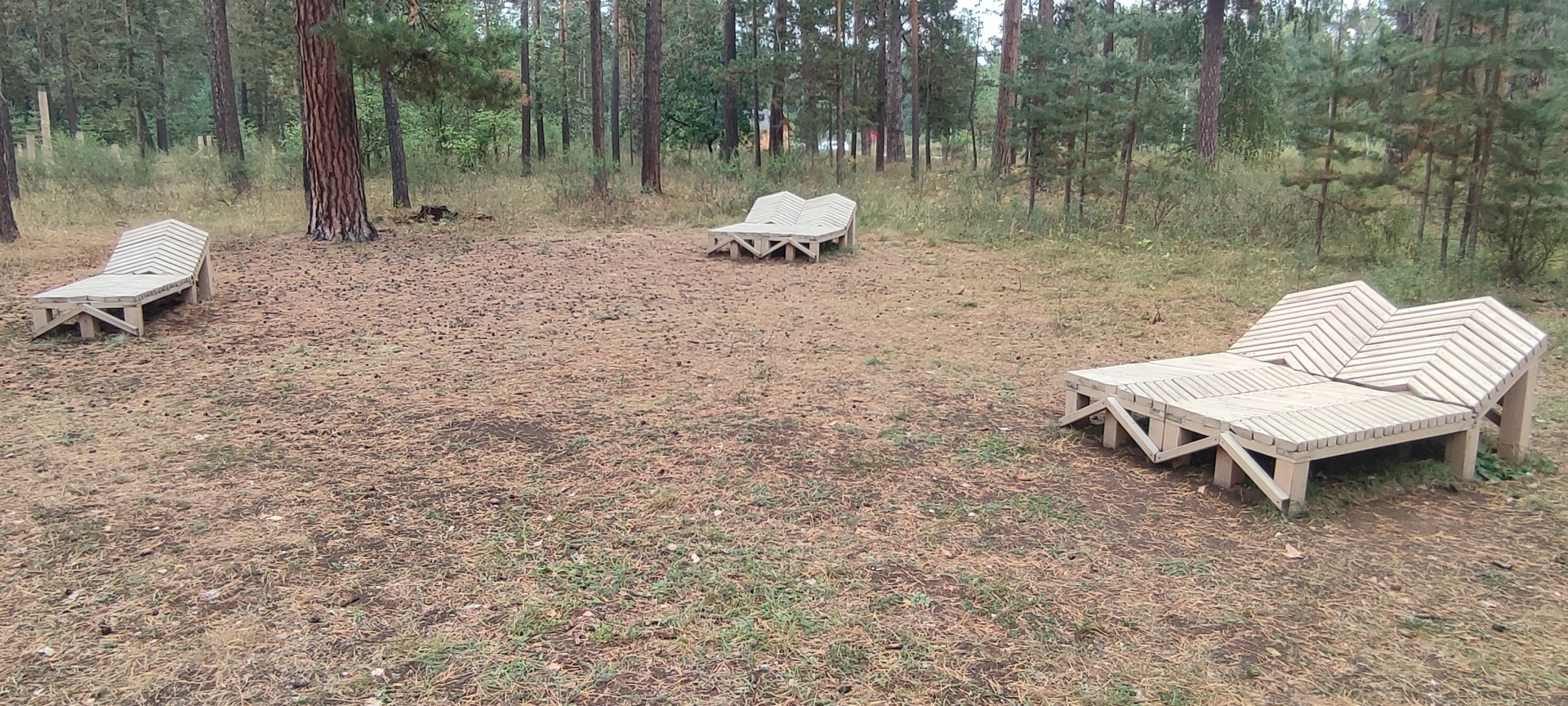 Бузулукский бор – 2023: мой отдых в сосновом бору. Национальный парк. Достопримечательности