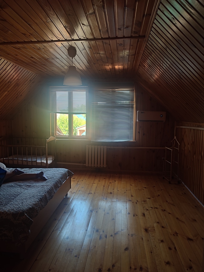 Бузулукский бор – 2023: мой отдых в сосновом бору. Национальный парк. Достопримечательности