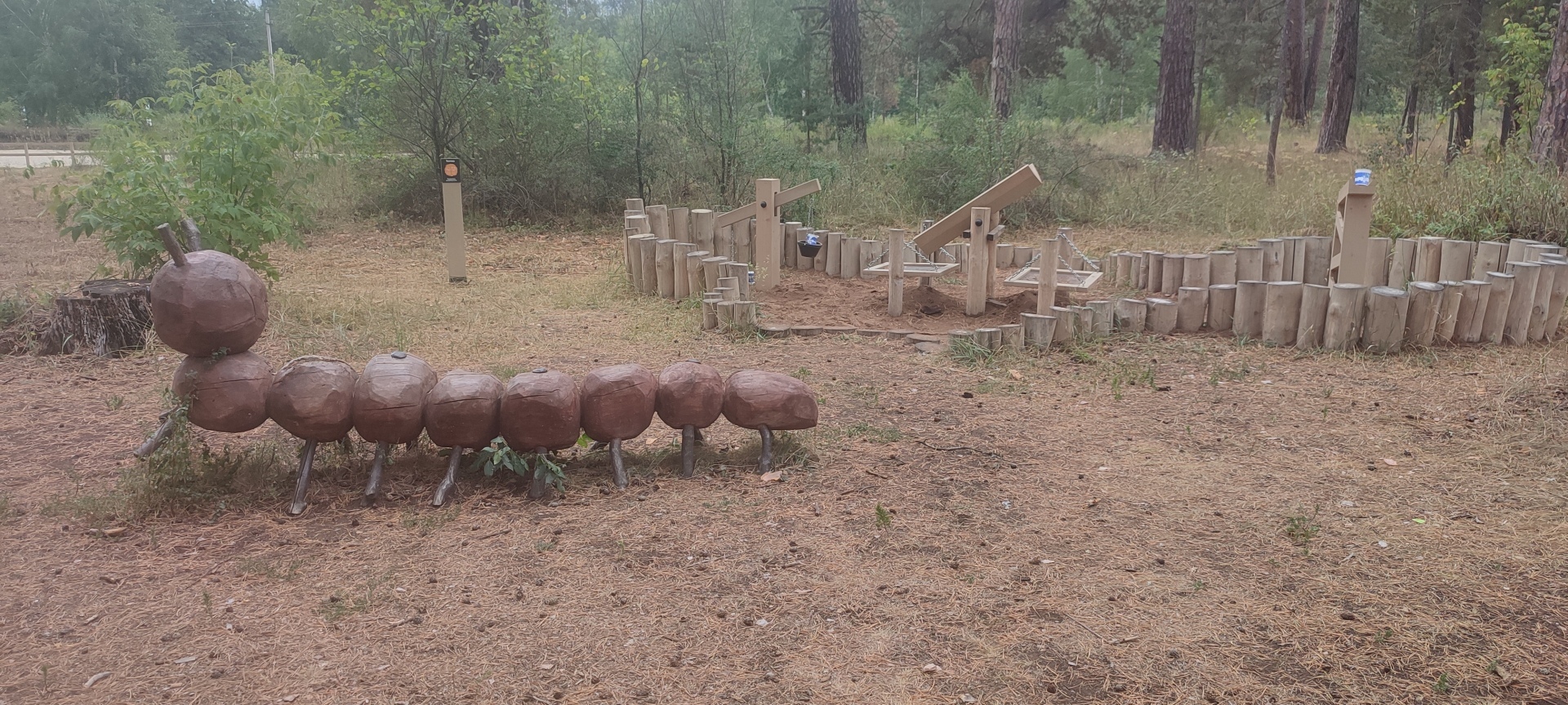 Бузулукский бор – 2023: мой отдых в сосновом бору. Национальный парк. Достопримечательности