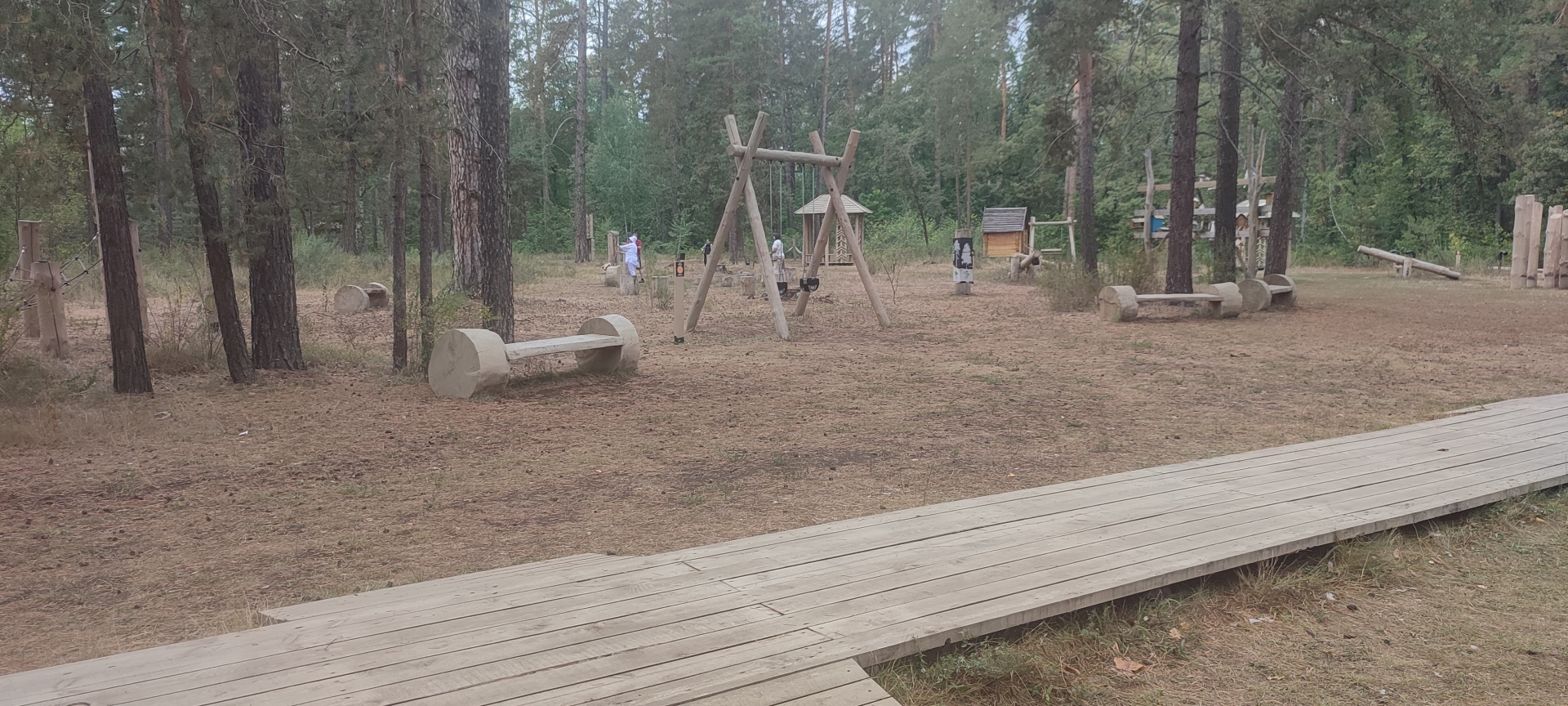 Бузулукский бор – 2023: мой отдых в сосновом бору. Национальный парк. Достопримечательности