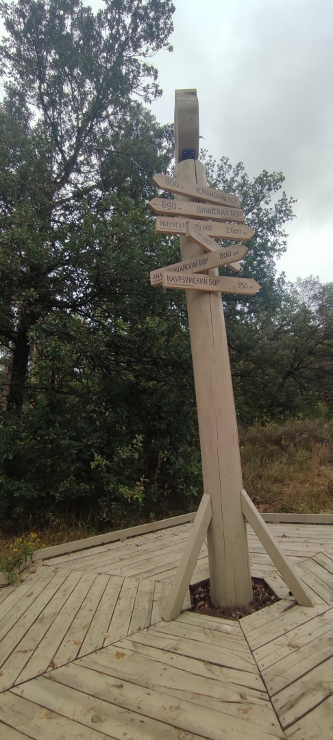 Бузулукский бор – 2023: мой отдых в сосновом бору. Национальный парк. Достопримечательности