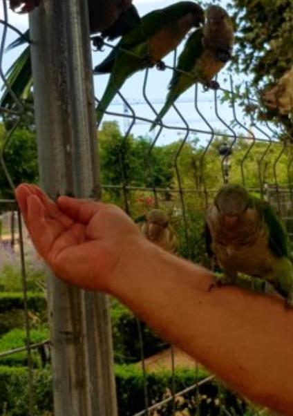 Конец августа - сентябрь 2023 Туризм в Барселону