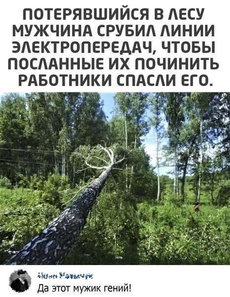 Вот так потеряшка!?