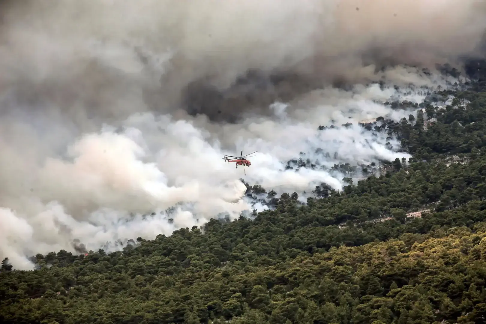 В Греции горят сотни новых пожаров. Смотрите последние фотографии.
