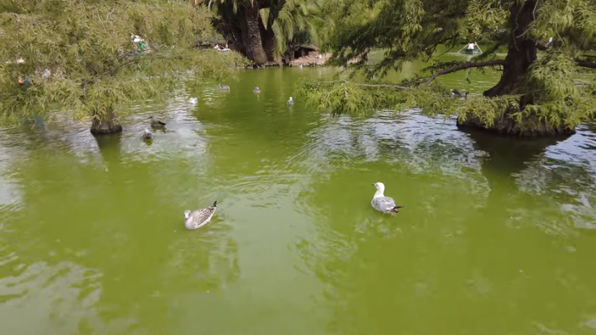 Конец августа - сентябрь 2023 Туризм в Барселону