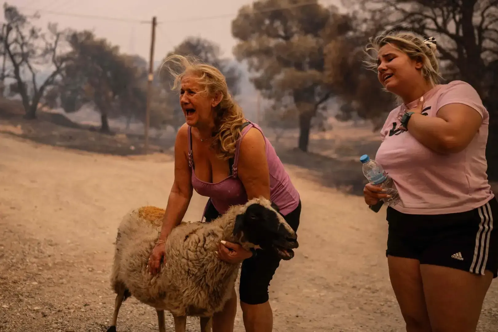 В Греции горят сотни новых пожаров. Смотрите последние фотографии.