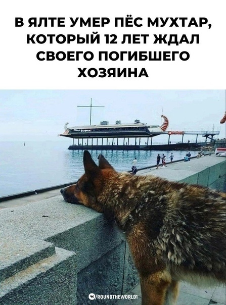 Достоин за верность!!!