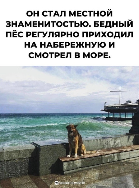 Достоин за верность!!!