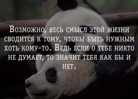 Каждый имеет свою ценность?