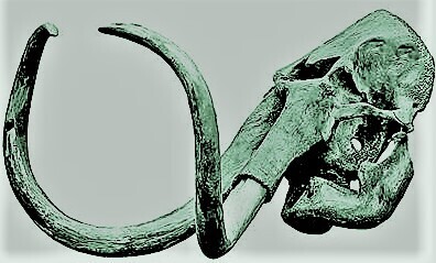 Мамонт и человек в доисторические времена (часть 3-я)